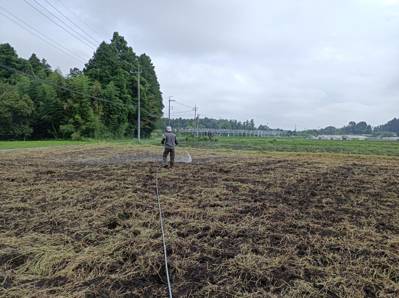 畑に乳酸菌と納豆菌を散布しました 栃木県の農業法人グリーンウィンド