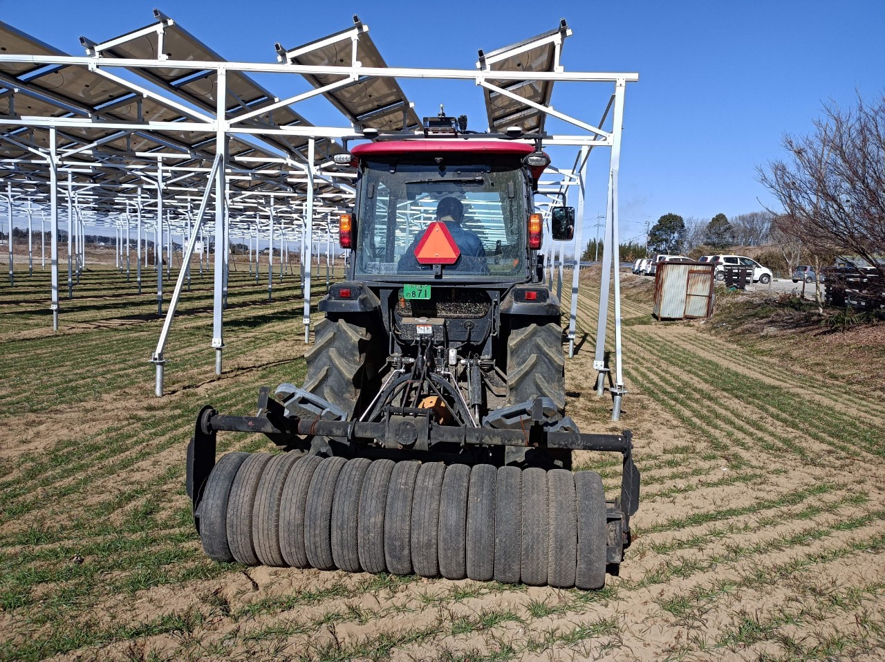 小麦の耐寒 耐倒伏のための 麦踏み を行いました 栃木県の農業法人グリーンウィンド